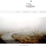 Weeping Willow tranquil lifestyle WP theme - customisation options 1
