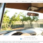 WordPress theme for bloggers - Weeping Willow - Post Settings Customisation