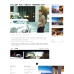 Topaz magazine WordPress theme - gallery post view