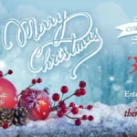 Early Christmas Winter Sale 2019 on WordPress themes